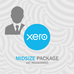 Midsize Enterprise Accounting